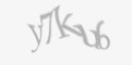 Защитный код