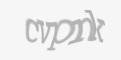 Защитный код