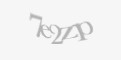 Защитный код