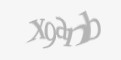 Защитный код